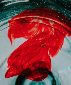 ĐĨA NGUYỆT SAN INADISC